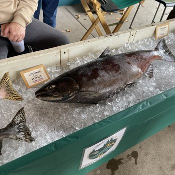 Issaquah Salmon Days - Festivals Near Me - Issaquah, Washington Issaquah Salmon Days - Festivals Near Me - Issaquah, Washington