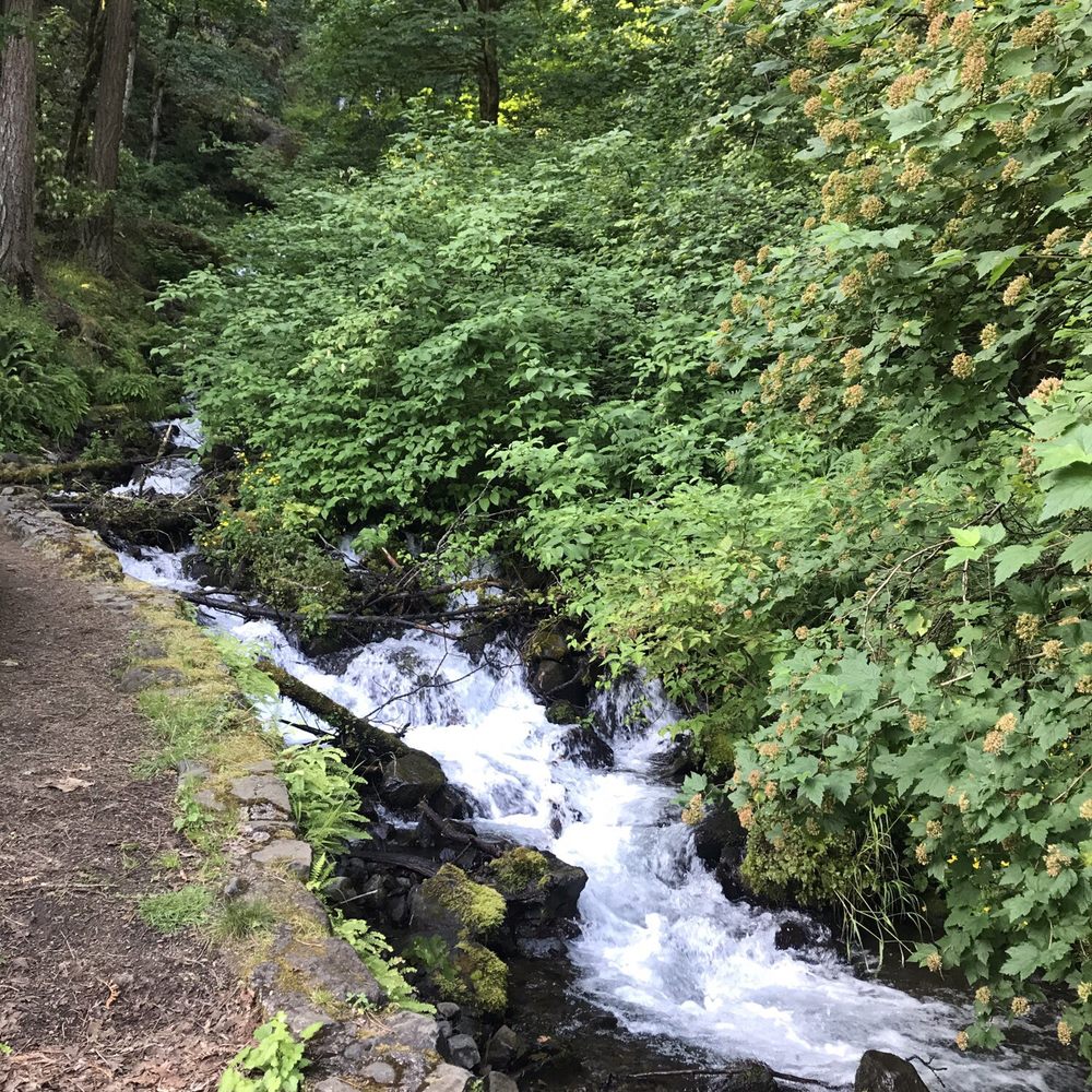 Wahkeena Falls - Parks Near Me - Troutdale, Oregon Wahkeena Falls - Parks Near Me - Troutdale, Oregon