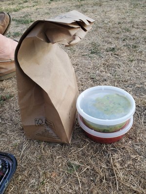 Taco Dive Bar by null