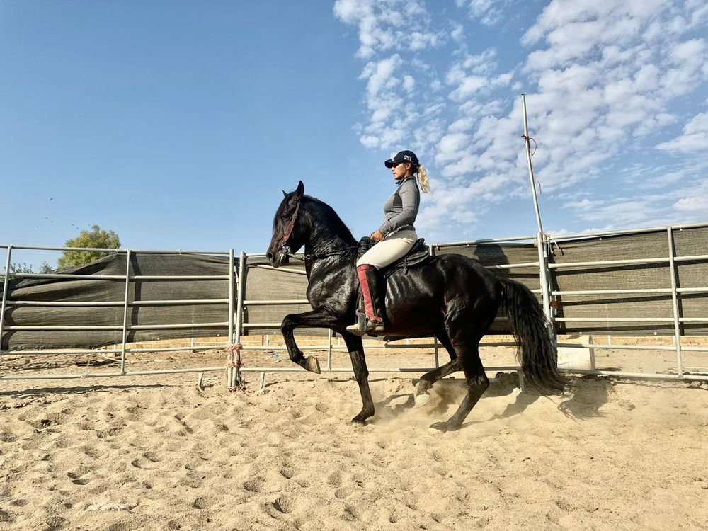 Horse Riding Academy of Bakersfield Logo