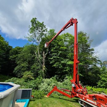 Gray Squirrel Tree Service - Tree Services Near Me - Napanoch, New York