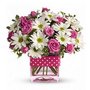 Photo of Ollie's Flowers