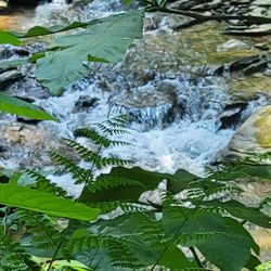 Otter Creek Campground