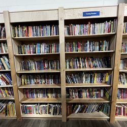 Good Stuff Thrift - Young Reader Selection