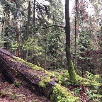 Lighthouse Park - Gorgeous views - Parks Near Me Lighthouse Park - Gorgeous views - Parks Near Me