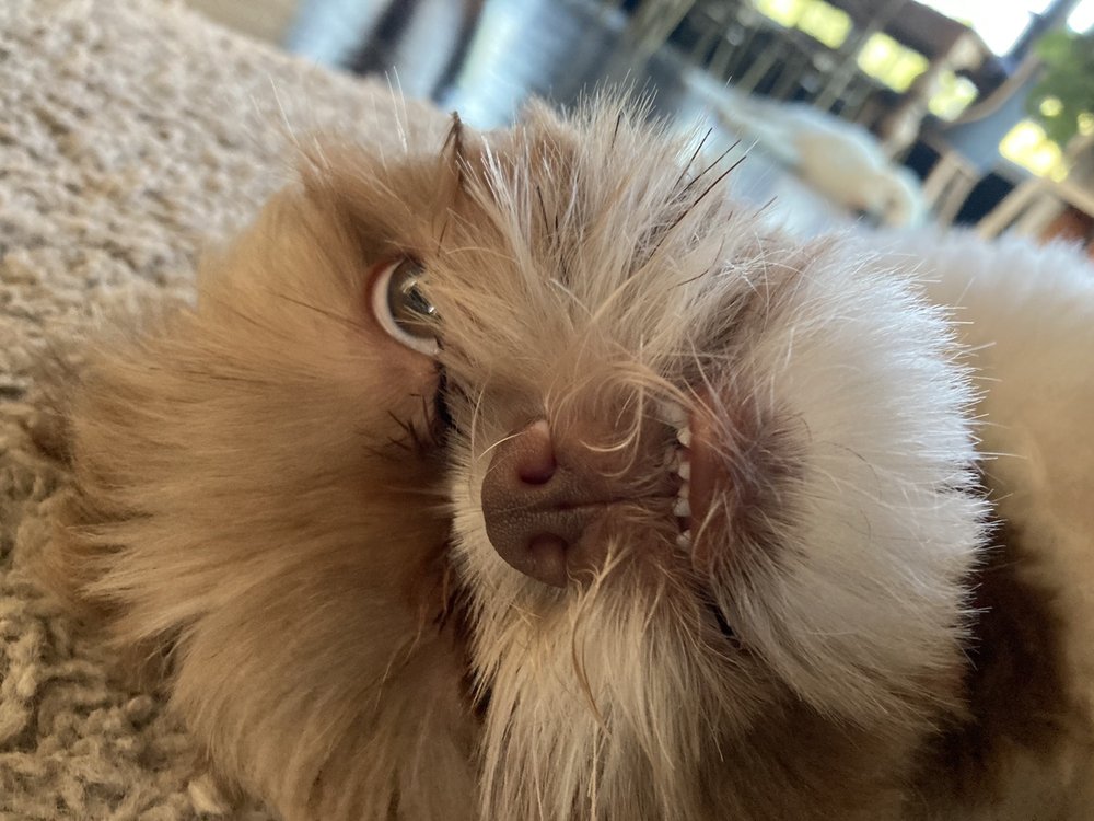 TIRE DISCOUNTERS Updated June 2024 11 Photos & 13 Reviews 6632 Hwy 72, W Huntsville