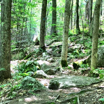 Androscoggin Riverlands State Park - Homestead Trail - Hiking Near Me - Turner, Maine