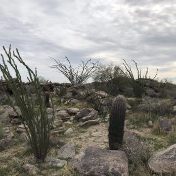 Pima Canyon South Mountain - Ocotillos - Hiking Near Me - Phoenix, Arizona