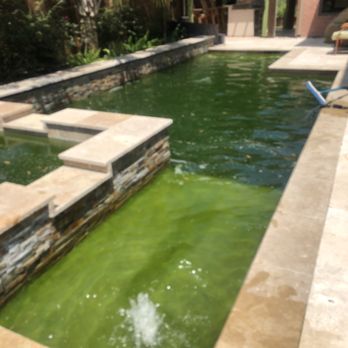 Parco Home Services - We take green pools like this and make them sparkle again. - Electricians Near Me Parco Home Services - We take green pools like this and make them sparkle again. - Electricians Near Me
