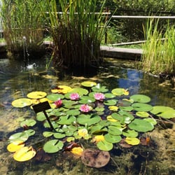 Musee & Jardin