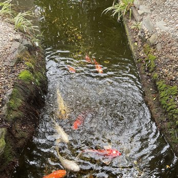 Orange Hill Restaurant & Events - Koi Fish - Steakhouses Near Me - Orange, California