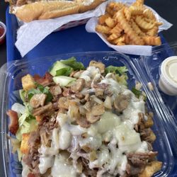 Philly Grill - Philly Salad and a Philly 8" sandwich with fries.
