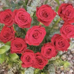Flowerlingo