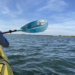 Kayaking within the Elkhorn Slough. Kayaking within the Elkhorn Slough.