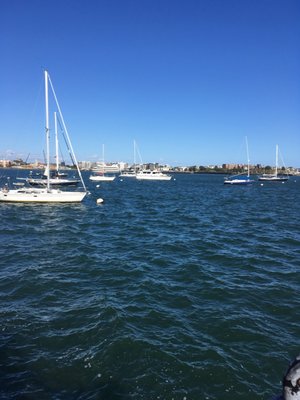 Boston Harbor Shipyard & Marina by null