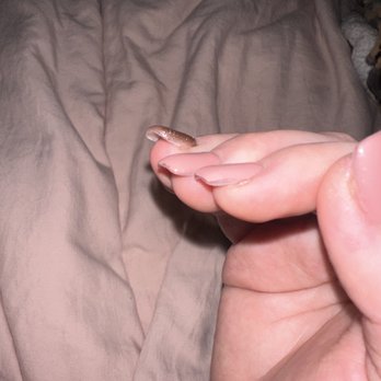 Dip Nail Bar-Horizon - Haven't even had the nail polish on for a couple hours and it's starting to come off. - Nail Salons Near Me - Scottsdale, Arizona