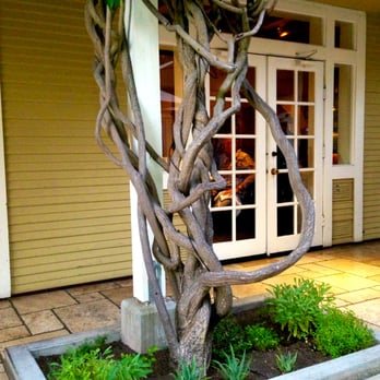 El Dorado Kitchen - Fresh Herbs Growing Everywhere - New American Near Me - Sonoma, California