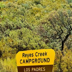 Reyes Creek Campground