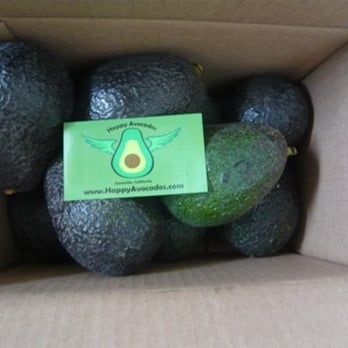 Happy Avocados - a box of avocados - Farmers Market Near Me Happy Avocados - a box of avocados - Farmers Market Near Me