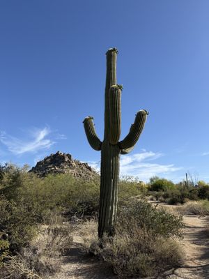 Four Seasons Resort Scottsdale by null