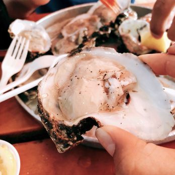 Aw Shucks - Seafood Near Me - Dallas, Texas Aw Shucks - Seafood Near Me - Dallas, Texas