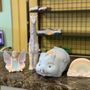 Photo of Clayfish Bisque : A Pottery Painting Place