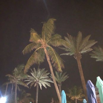 Seaside Cafe - Outdoor dining area - Pizza Near Me - Key West, Florida Seaside Cafe - Outdoor dining area - Pizza Near Me - Key West, Florida