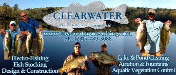 Clearwater Consulting