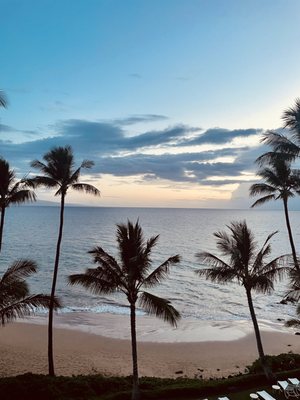 The Hale Pau Hana by null