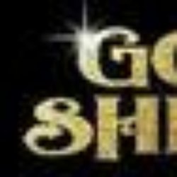 Gold Shield Transportation - Gold Shield Transportation logo
