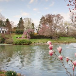 Inn at Whitewing Farm - Pond with flowers and fountain