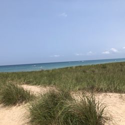 Stop 18 Beach - Wild grasses are sharp!