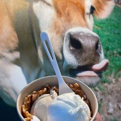 Lick Honest Ice Creams - Two scoops in a waffle cone