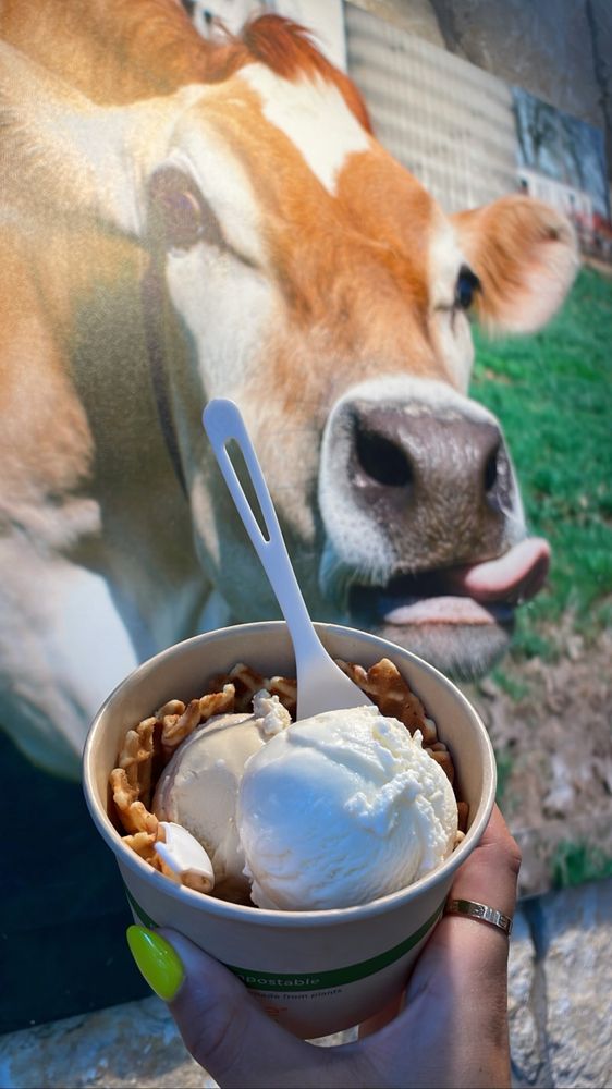 Lick Honest Ice Creams