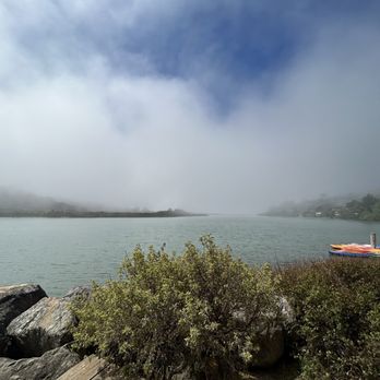 Cafe Aquatica - Views from the seating area - Coffee & Tea Near Me - Jenner, California