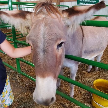 Konow's Corn Maze - Attraction Farms Near Me - Homer Glen, Illinois