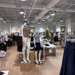 Ann Taylor Factory Store
