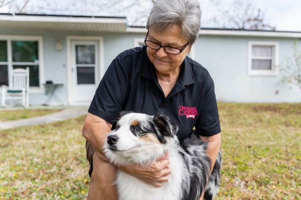 Daytona Canines Pet Sitting