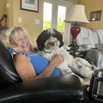 Sandcastle Labradoodles - Pet Adoption Near Me - Bells, Texas