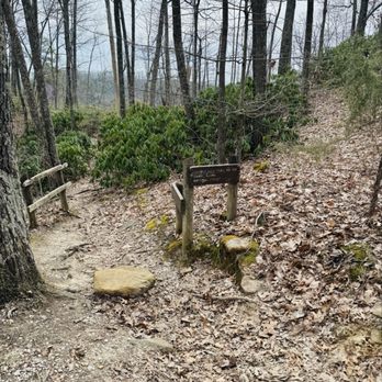 Daniel Boone National Forest - Hiking Near Me - Winchester, Kentucky Daniel Boone National Forest - Hiking Near Me - Winchester, Kentucky