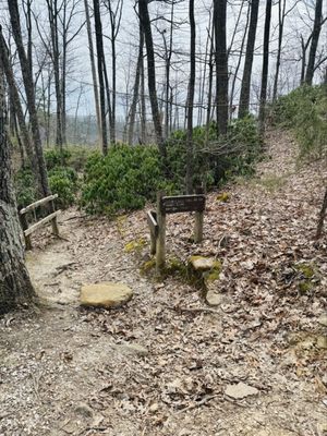 Daniel Boone National Forest by null