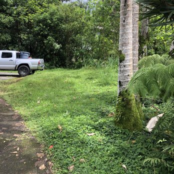 Prime Lawn Care - Before picture in Kaumana - Lawn Services Near Me Prime Lawn Care - Before picture in Kaumana - Lawn Services Near Me
