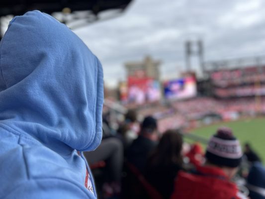 Busch Stadium by null