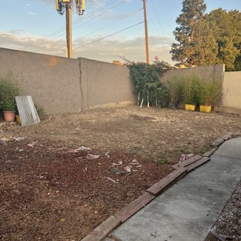 Tony’s Tree Service - This is the after picture. Once they were done cutting 2 trees down. Great job. - Tree Services Near Me Tony’s Tree Service - This is the after picture. Once they were done cutting 2 trees down. Great job. - Tree Services Near Me