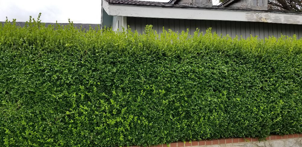 Slide of Fair Lawn Care Solutions