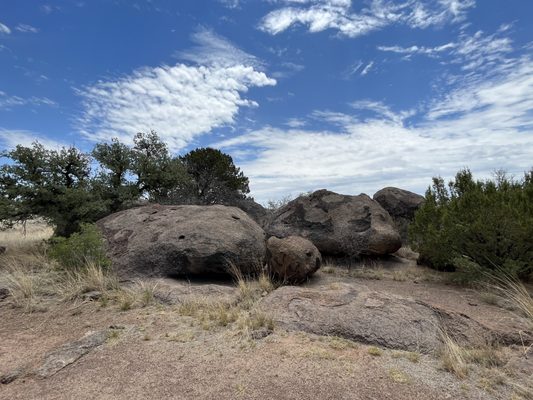 Chihuahuan Desert Research Institute by null