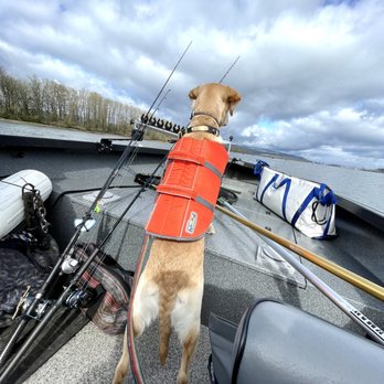 Heng-On Fishing - Captain Miles. Taking it all in. - Fishing Near Me Heng-On Fishing - Captain Miles. Taking it all in. - Fishing Near Me