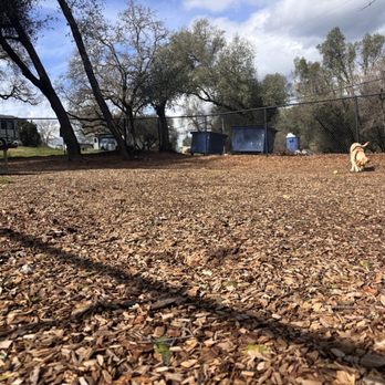 Thousand Trails Ponderosa - Dog park - Campgrounds Near Me - Lotus, California Thousand Trails Ponderosa - Dog park - Campgrounds Near Me - Lotus, California