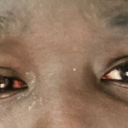 Tammy's Eyebrow Spa