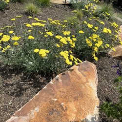 Garden Care and Maintenance Jony Gonzalez